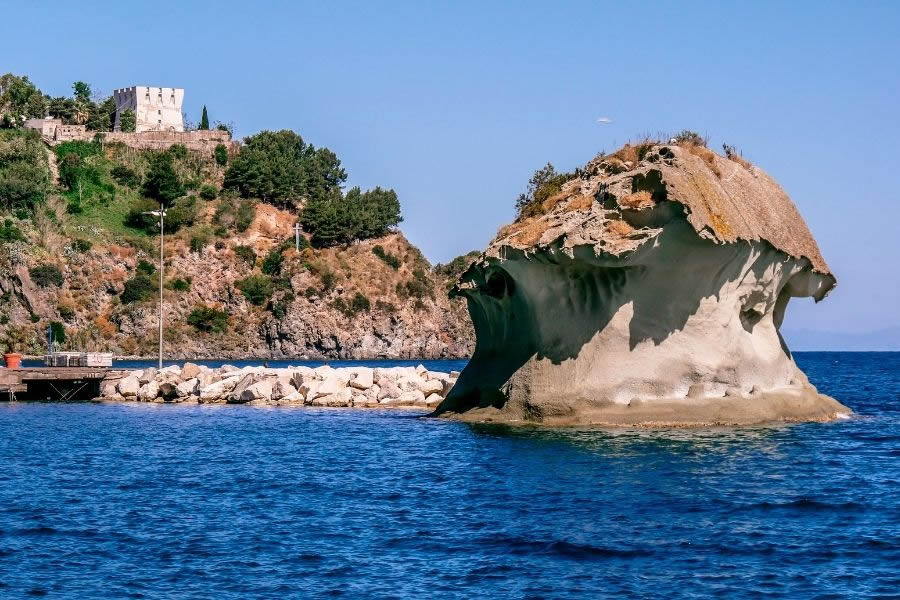 Fungo di Lacco Ameno Ischia